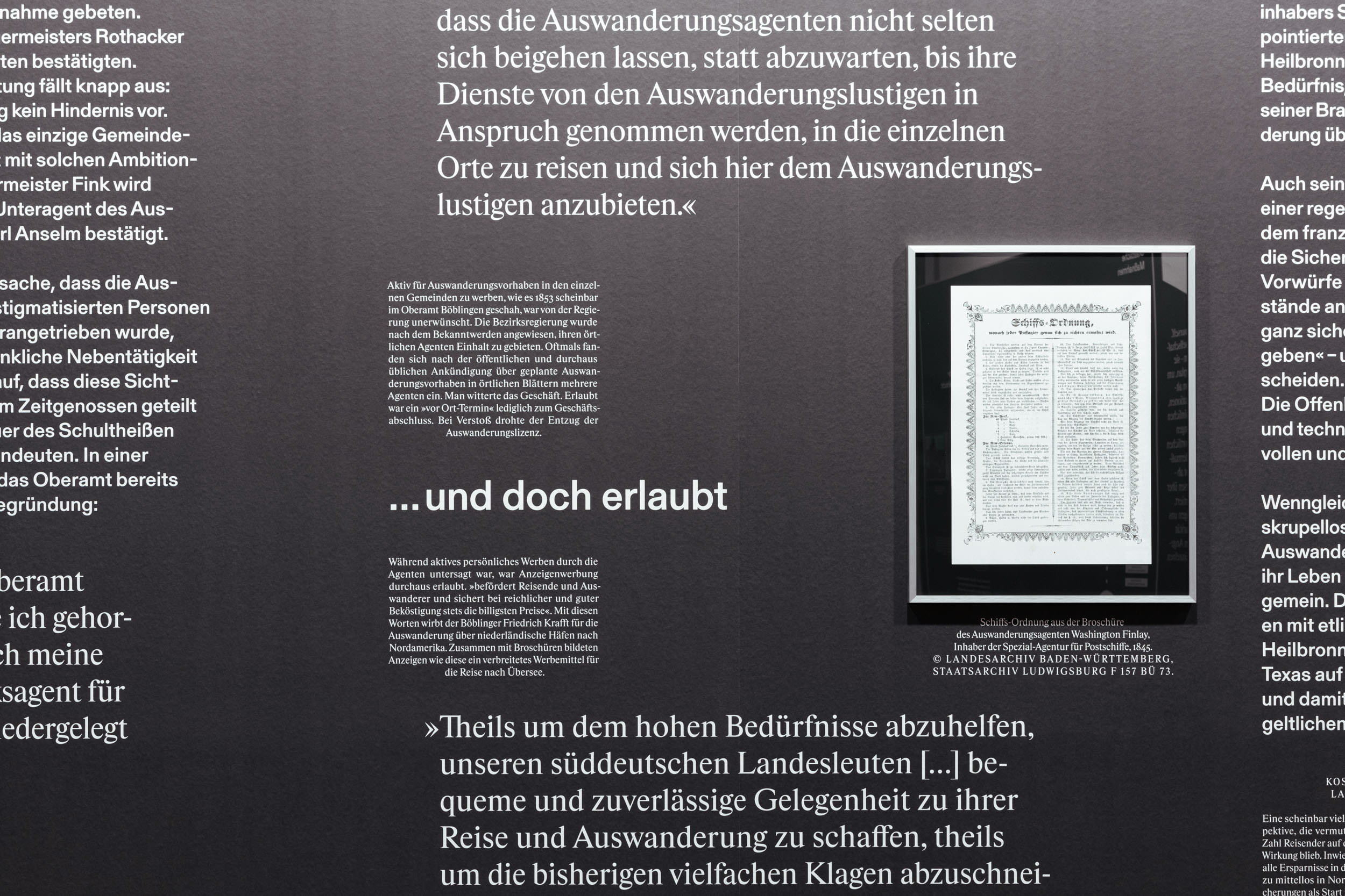 Typographical variety offers plenty of access to the exhibition’s content