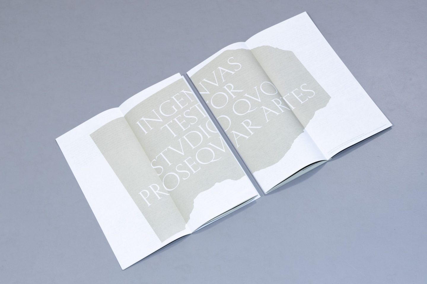 Open programme booklet for Sommer der Künste showing a large typographic spread across two pages.