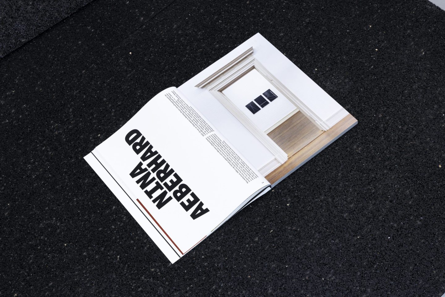 Catalogue design for the ABK Stuttgart Meisterschüler exhibition at Villa Merkel Esslingen, featuring a spread on Nina Aeberhard with bold typographic titling, editorial text and documentary exhibition photography.